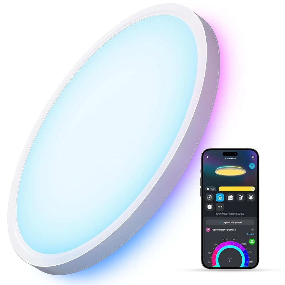 Govee Smart Ceiling Light, RGBIC LED Ceiling Light Fixture, 2400LM Flush Mount Light Fixture, DIY Colors, Works with Alexa, 2200K-6500K Ceiling Lights for Bedroom, Living Room,...