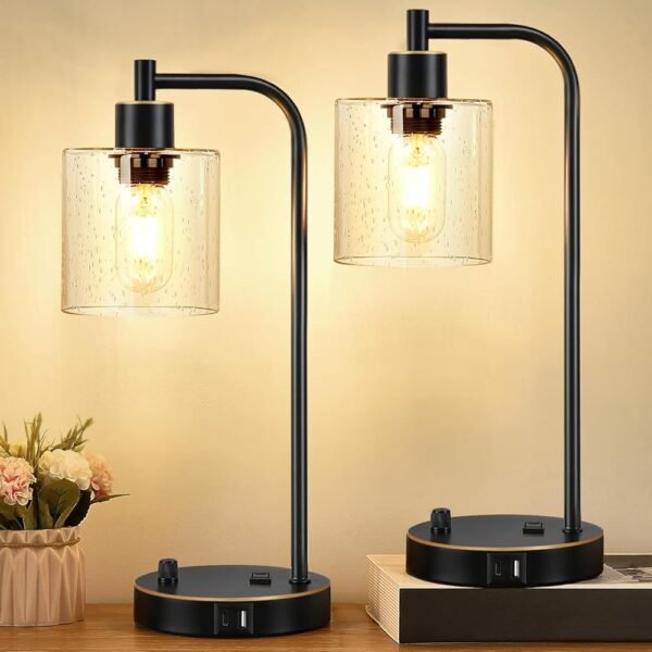 Set of 2 Black and Gold Industrial Table Lamps with USB Port, Fully Stepless Dimmable Bedside Lamps for bedrooms, Nightstand Desk Lamps with Seeded Glass Shade for Reading...
